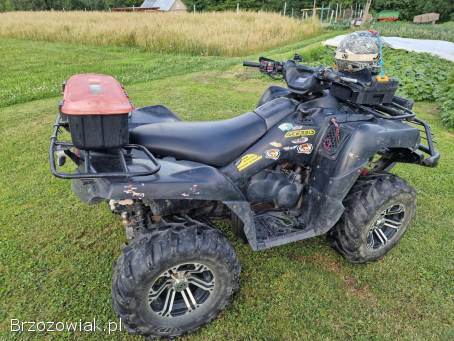 Kawasaki Brute force 650