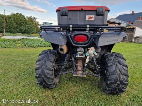 Kawasaki Brute force 650