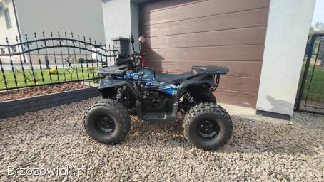 Quad 125 atv buggy