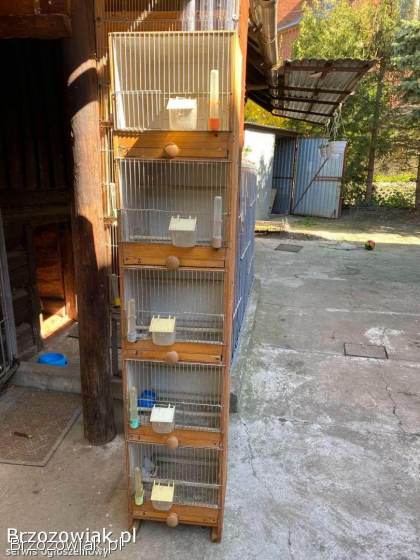Sprzedam regał po kanarkach