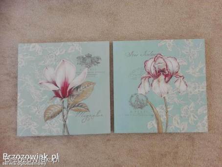 Komplet 2 obrazy canvas magnolia,  irys 50x50 cm