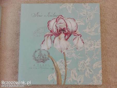 Komplet 2 obrazy canvas magnolia,  irys 50x50 cm