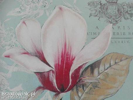 Komplet 2 obrazy canvas magnolia,  irys 50x50 cm