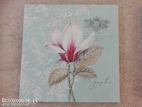 Komplet 2 obrazy canvas magnolia,  irys 50x50 cm