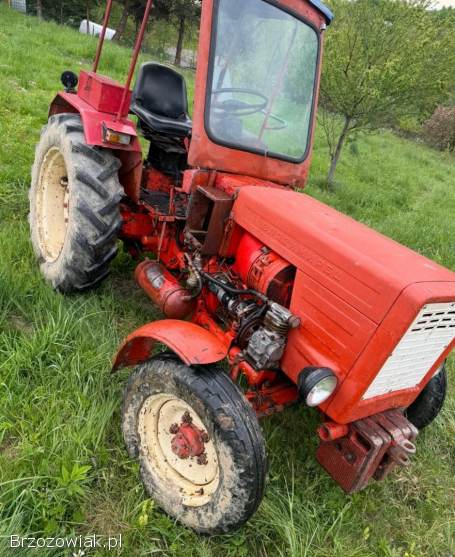 Ciągnik rolniczy Władimirec T-25 Zarejestrowany