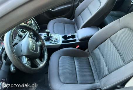Audi A4 B8 1.  8 Turbo B  2009