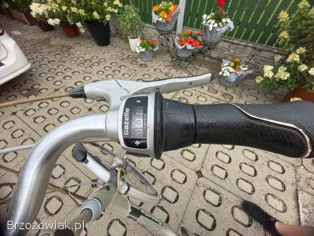 Rower elektryczny Gazelle Innergy – holenderski,  wygodny i solidny