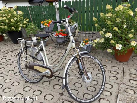 Rower elektryczny Gazelle Innergy – holenderski,  wygodny i solidny