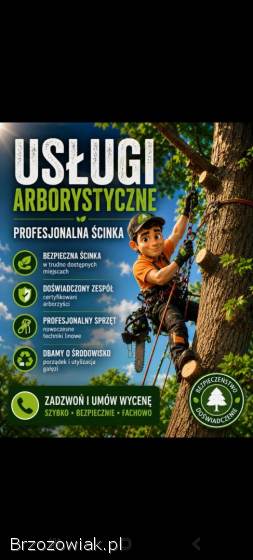 Wycinka drzew Usługi leśne