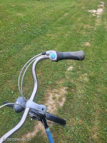 ROWER GAZELLE IMPALA HOLANDIA