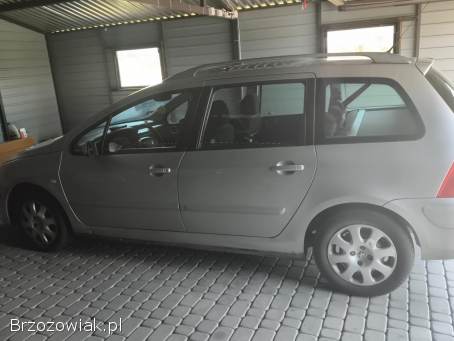Peugeot 307 Kombi 2004