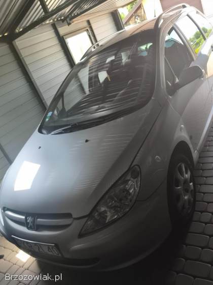 Peugeot 307 Kombi 2004