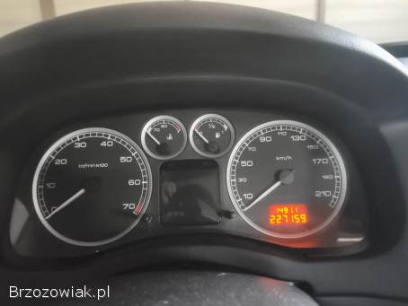 Peugeot 307 Kombi 2004