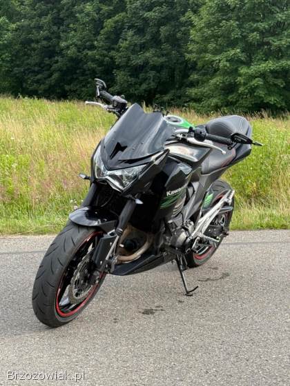 Kawasaki Z 2015
