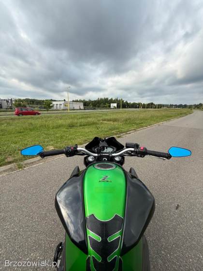 Kawasaki Z 2015