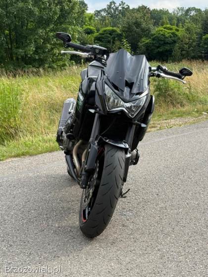 Kawasaki Z 2015