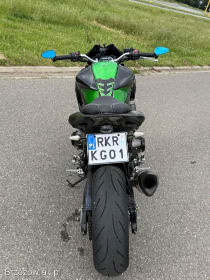 Kawasaki Z 2015