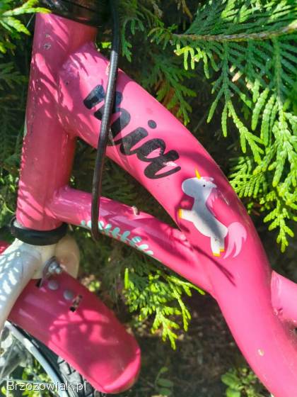 Rower dla dziewczynki Martes Mia