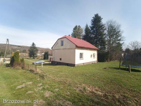 Siedlisko z działką 2 hektarową i domem murowanym w Pisarowcach