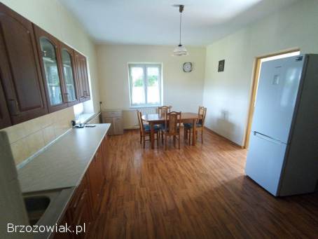 Siedlisko z działką 2 hektarową i domem murowanym w Pisarowcach