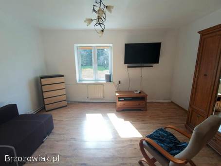 Siedlisko z działką 2 hektarową i domem murowanym w Pisarowcach