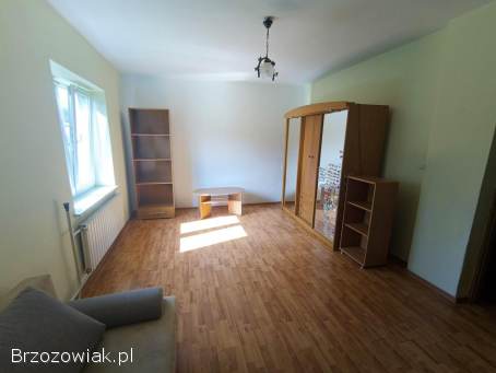 Siedlisko z działką 2 hektarową i domem murowanym w Pisarowcach