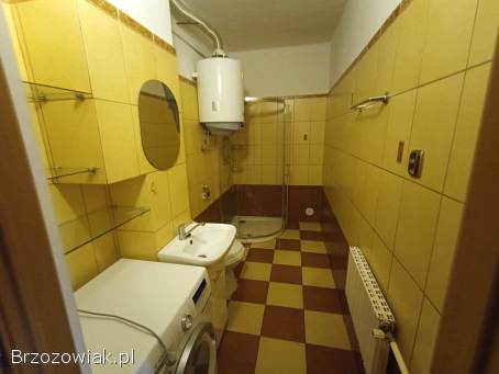 Siedlisko z działką 2 hektarową i domem murowanym w Pisarowcach