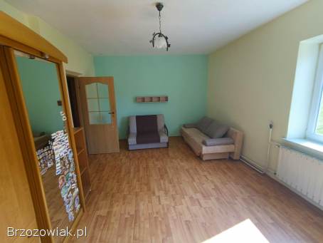 Siedlisko z działką 2 hektarową i domem murowanym w Pisarowcach