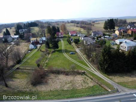 Siedlisko z działką 2 hektarową i domem murowanym w Pisarowcach