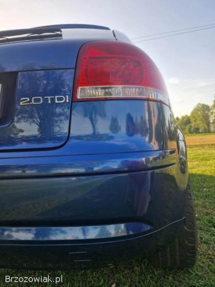 Audi A3 8P 2006