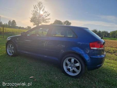 Audi A3 8P 2006