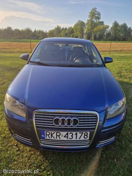 Audi A3 8P 2006
