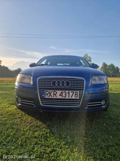 Audi A3 8P 2006