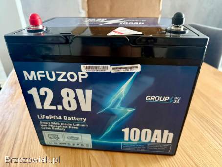 Akumulator bateria LiFePO4 100Ah magazyn energii kamper przyczepa łódka blaszak