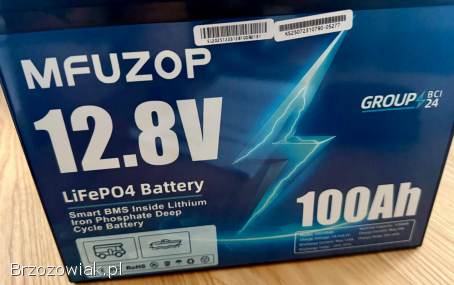 Akumulator bateria LiFePO4 100Ah magazyn energii kamper przyczepa łódka blaszak