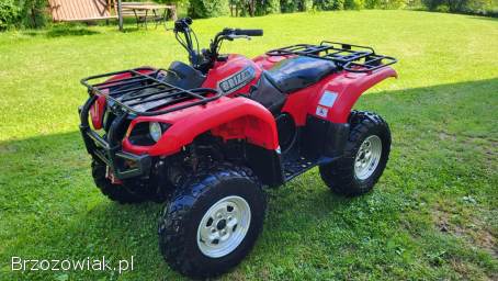 Quad yamaha gryzzly 660