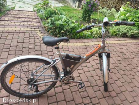 Rower b twin