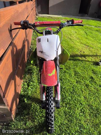 Suda  Suda  Cross  2015
