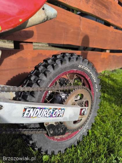 Suda  Suda  Cross  2015