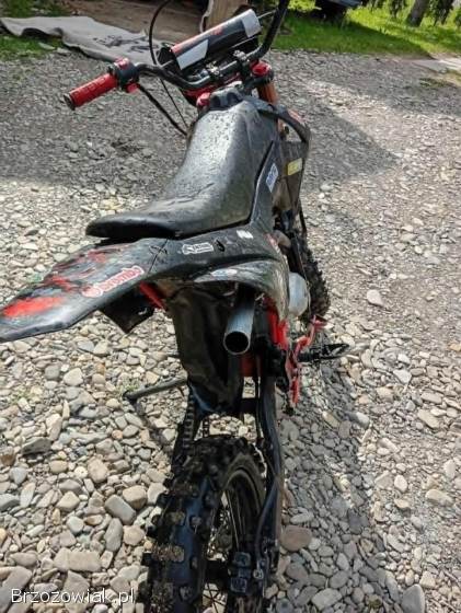 KXD 125 2019