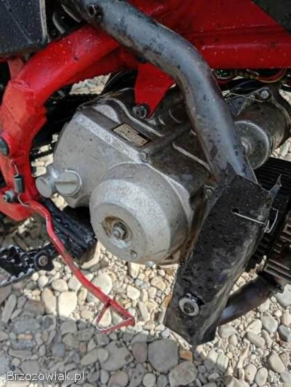 KXD 125 2019