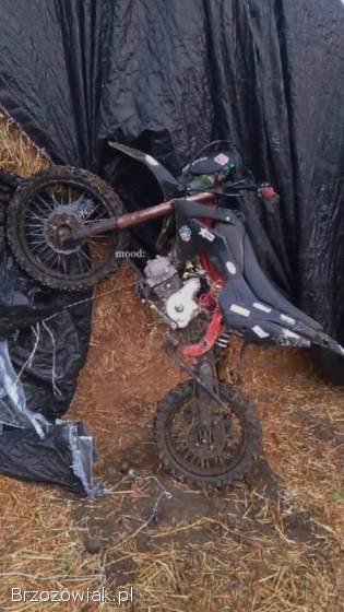 KXD 125 2019