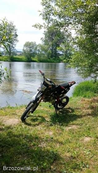 KXD 125 2019