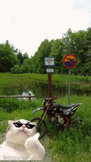 KXD 125 2019