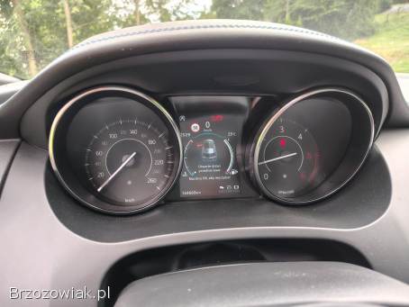 Jaguar E-Type R dynamic 2019