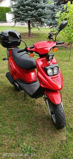 TGB 101 S 2009