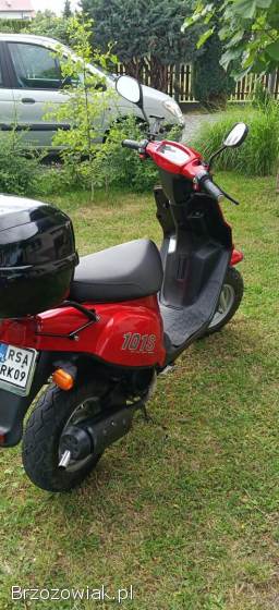 TGB 101 S 2009
