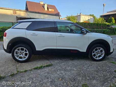 Citroën C4 Cactus 1.  5HDI Automat  2020