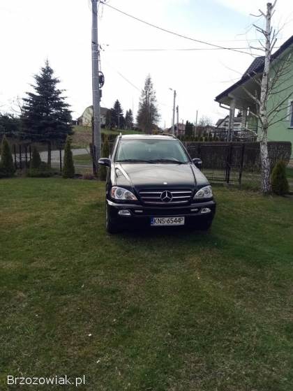 Mercedes-Benz ML W163 2004