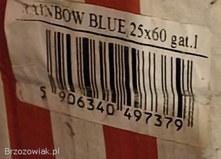 Artens Glazura Rainbow 25X60